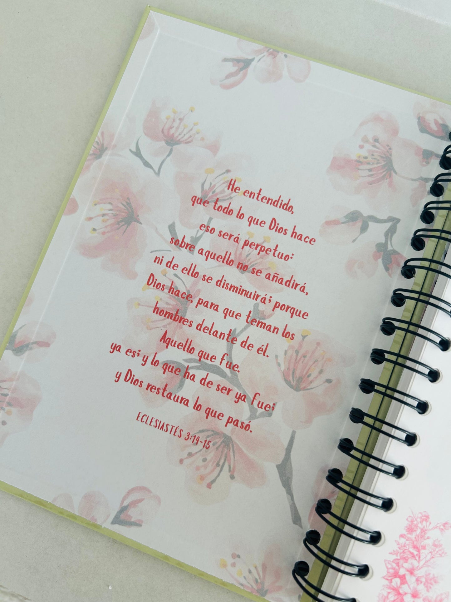 Caja con Propósito Lila Eclesiastés