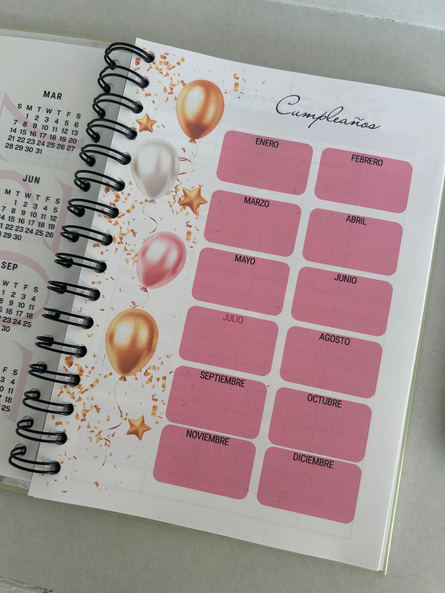 Caja con Propósito Lila Eclesiastés