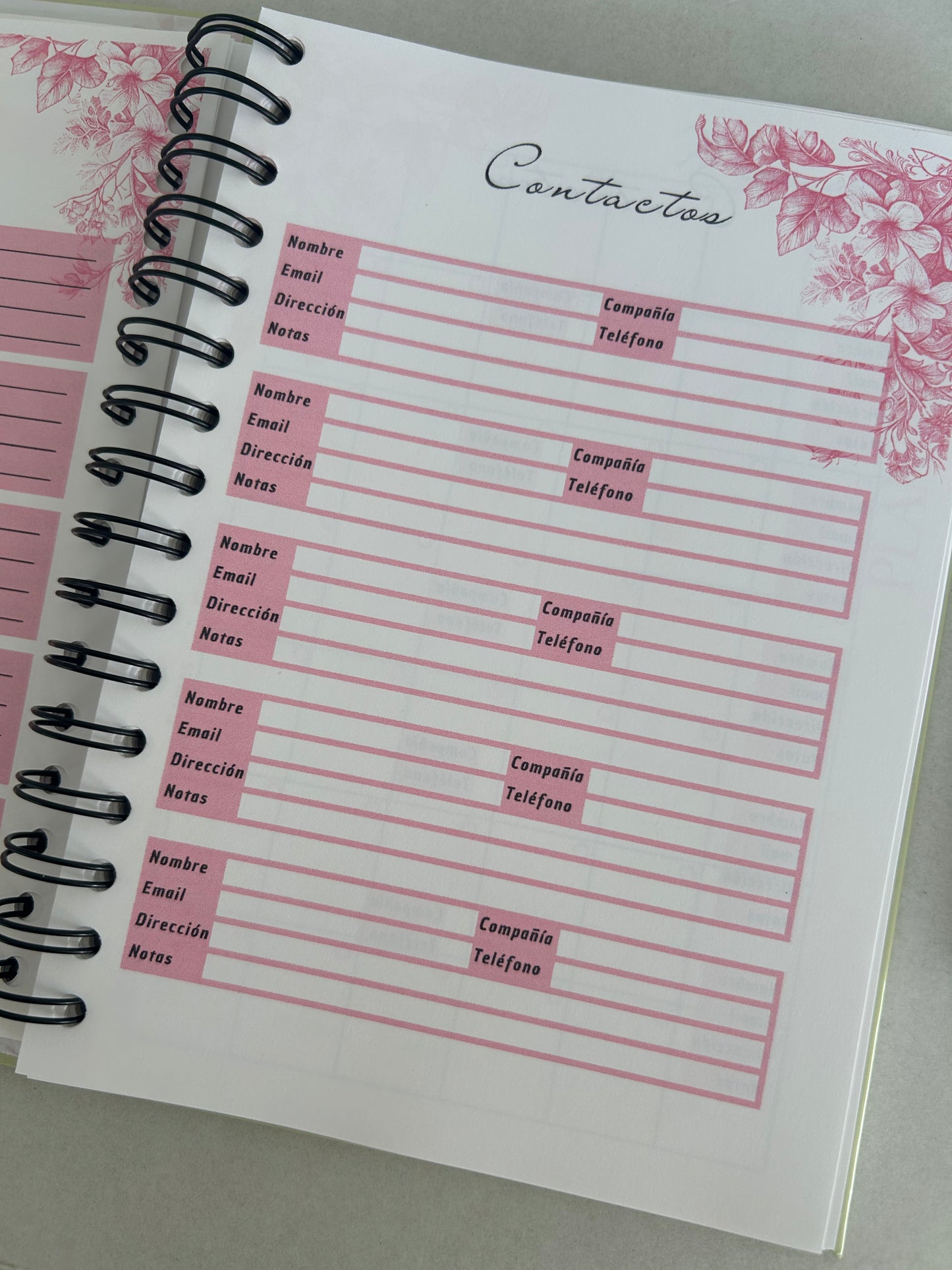 Caja con Propósito Lila Eclesiastés