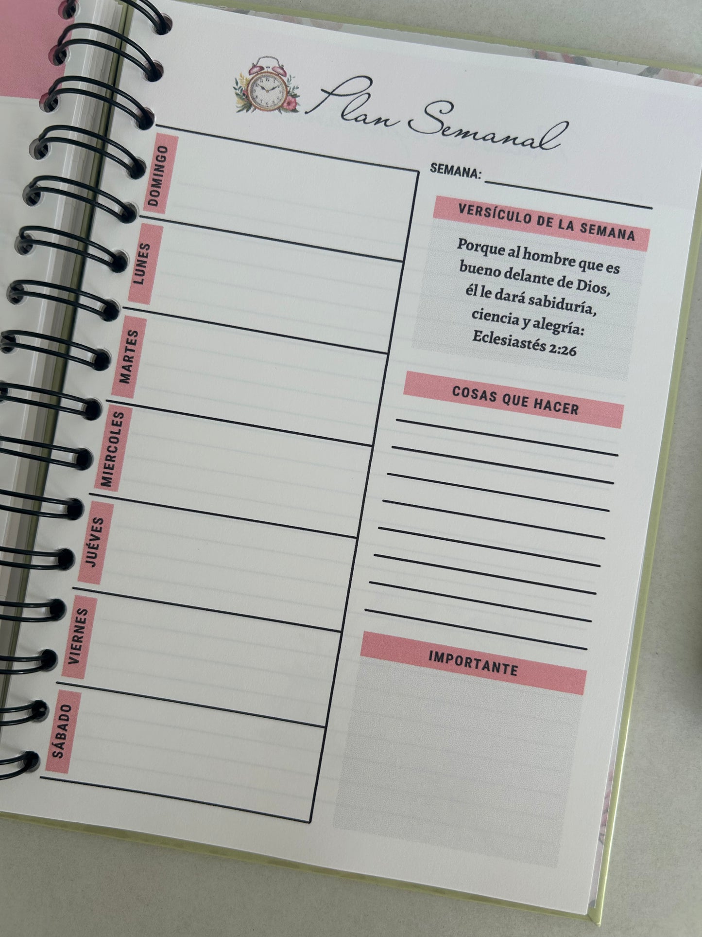 Caja con Propósito Lila Eclesiastés