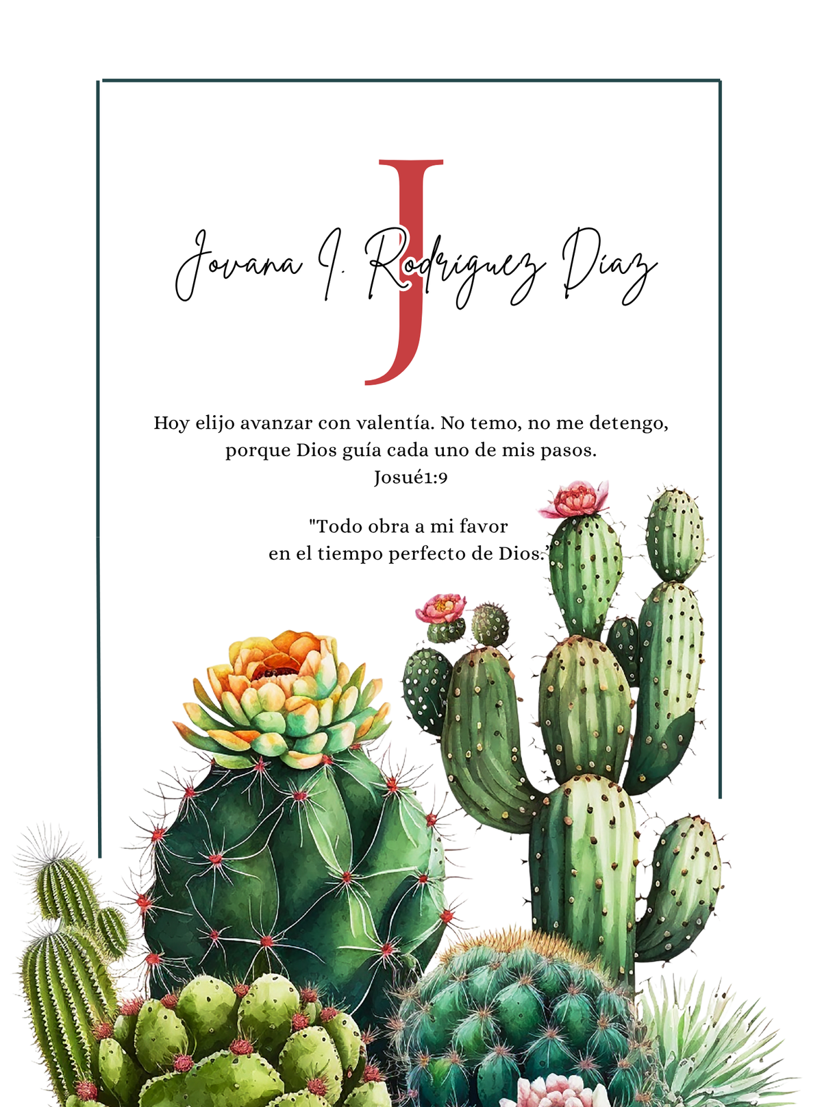 Caja con Propósito Cactus